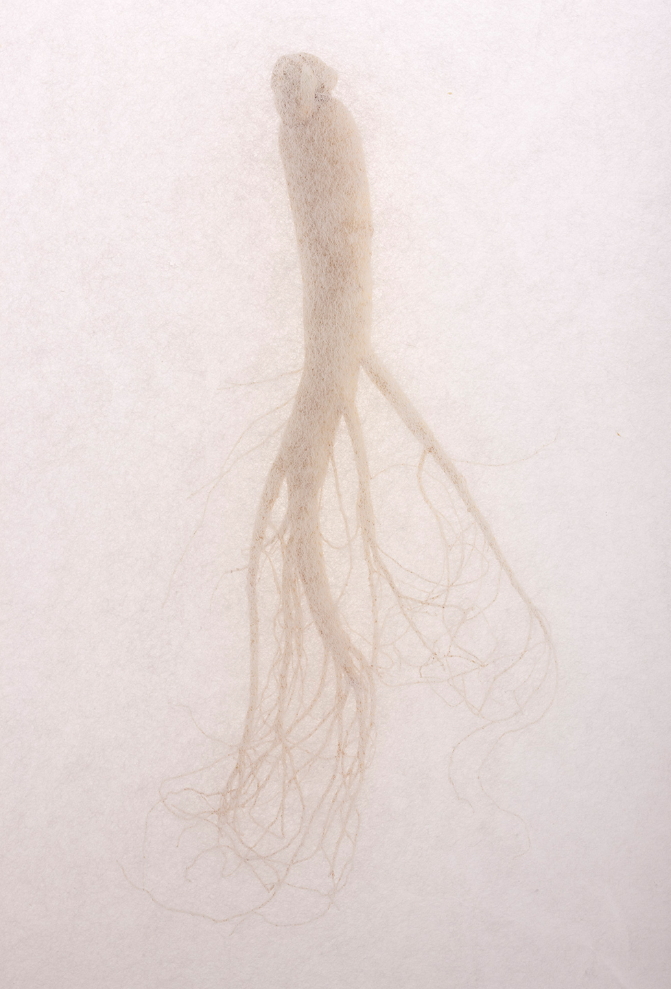 sulwhasoo object photography 13